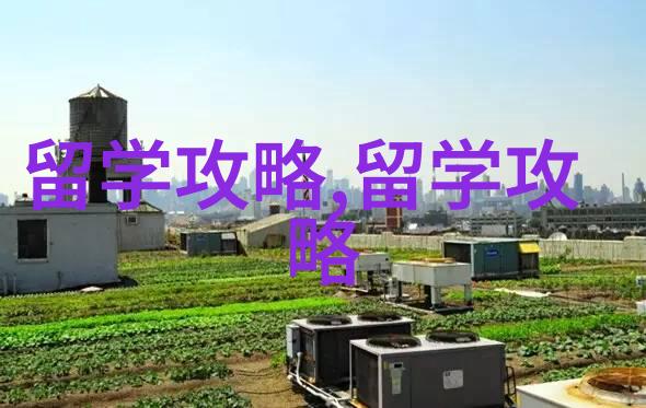 韩国留学的签证是什么类型
