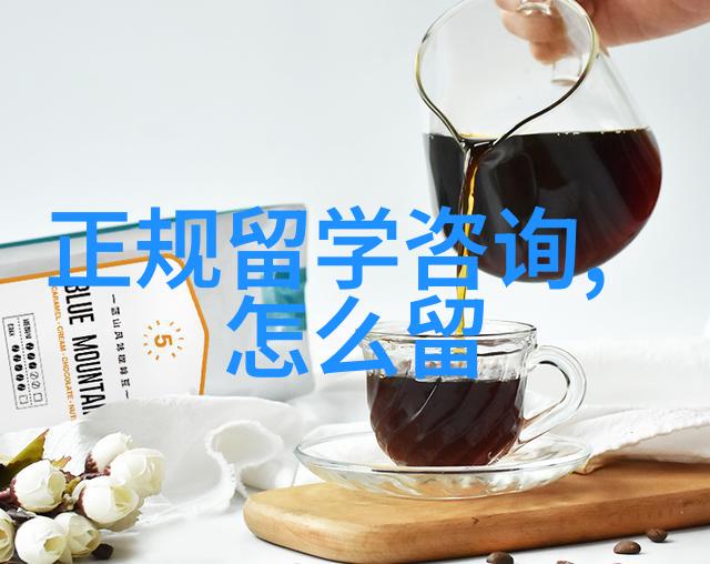 美国留学生专业美国留学生专业导向探索未来职场的优势路径