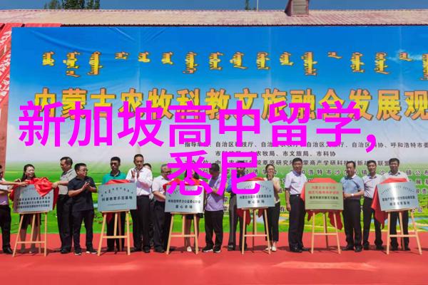 新加坡国立大学2025年入学新增专业更新